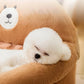 Cute Pet Bed/Sofa