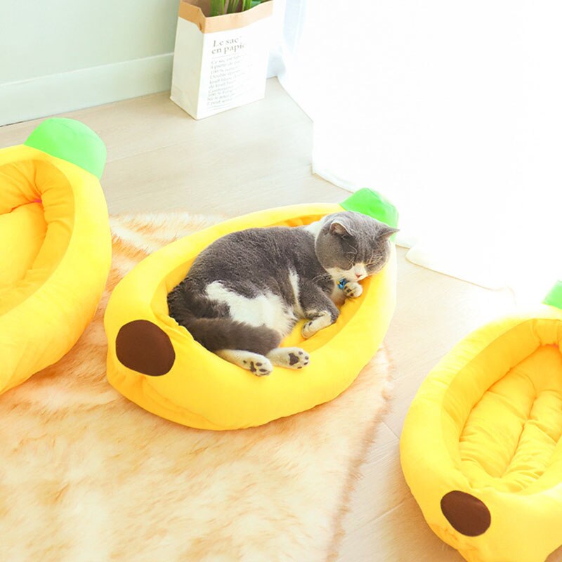 Feline Dreams Cat Bed