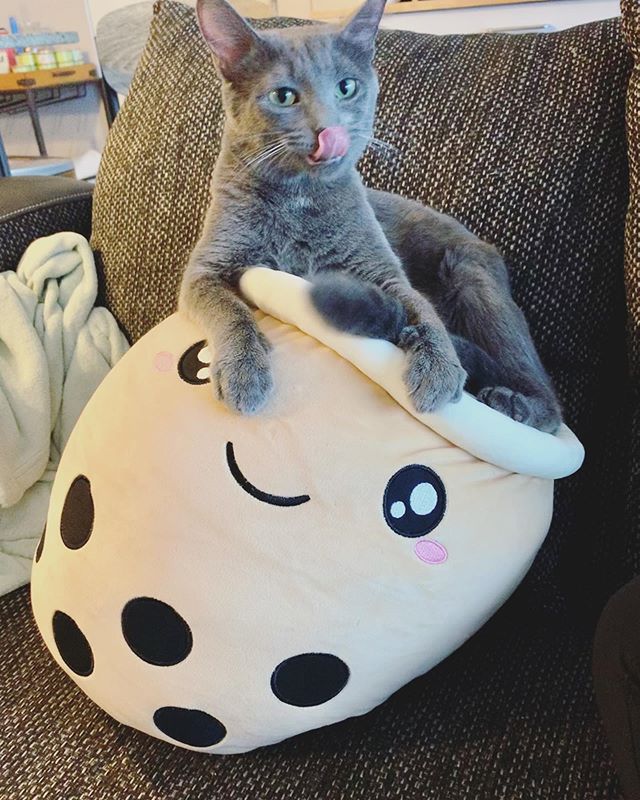 Kawaii Stuffed Boba Plushie