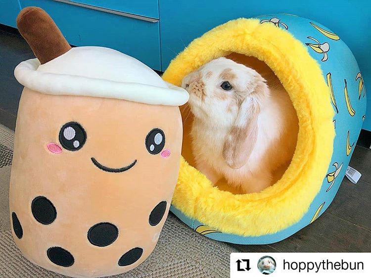 Kawaii Stuffed Boba Plushie
