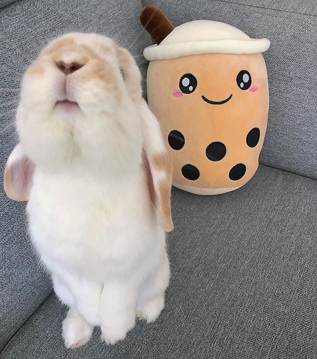 Kawaii Stuffed Boba Plushie