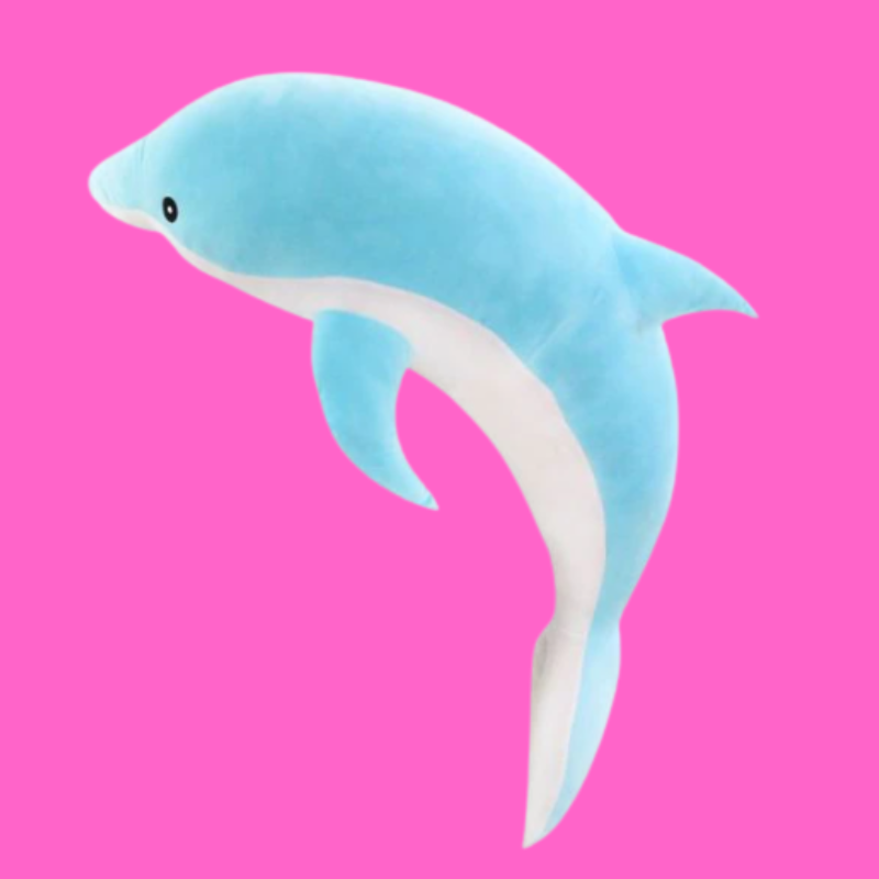 Echo the Dolphin
