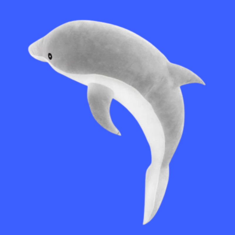 Echo the Dolphin