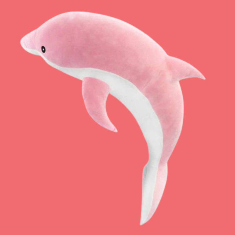 Echo the Dolphin