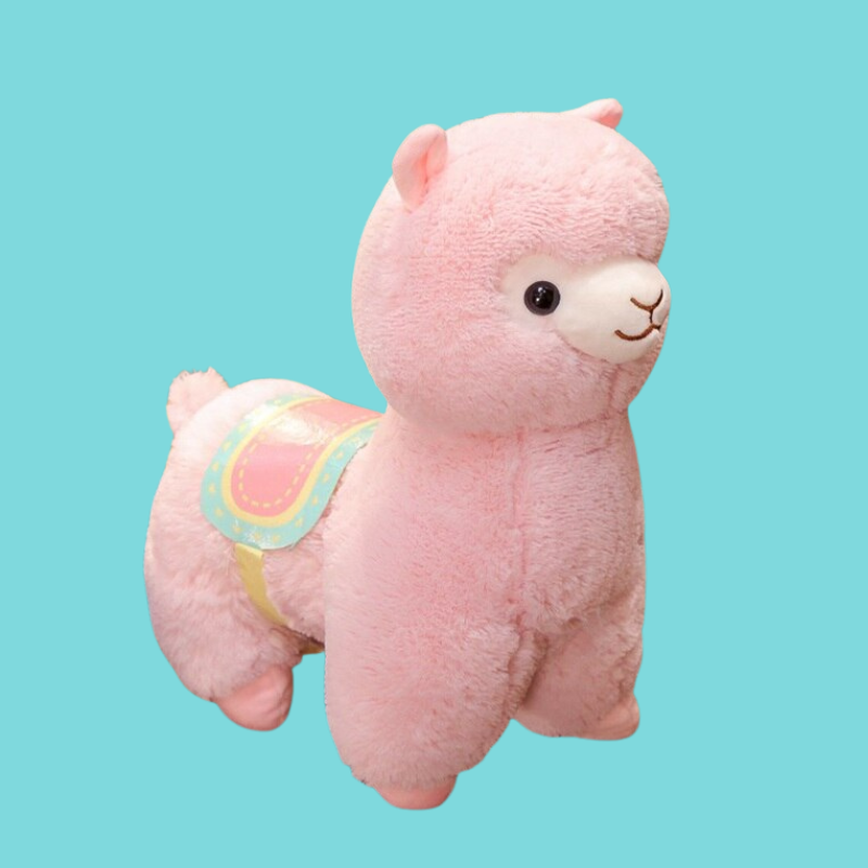 Alfie the Alpaca