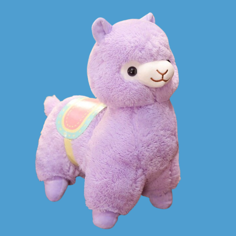 Alfie the Alpaca