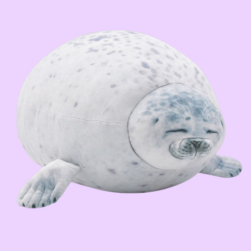 Yuki the Chonky Seal