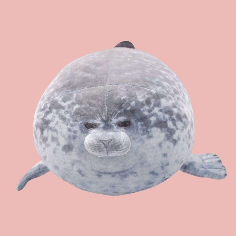 Yuki the Chonky Seal