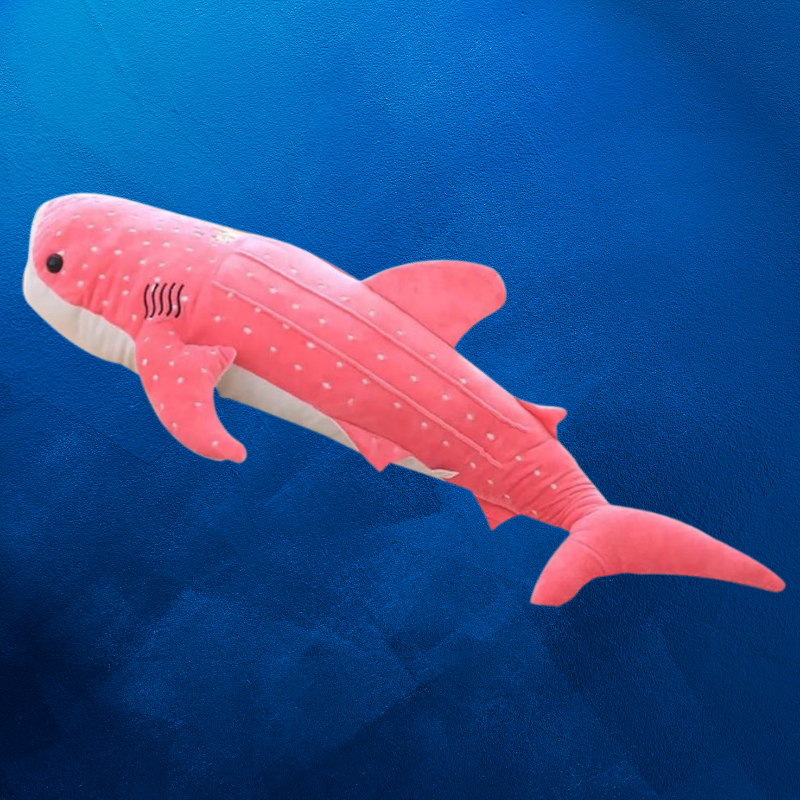 Maverick the Whale Shark