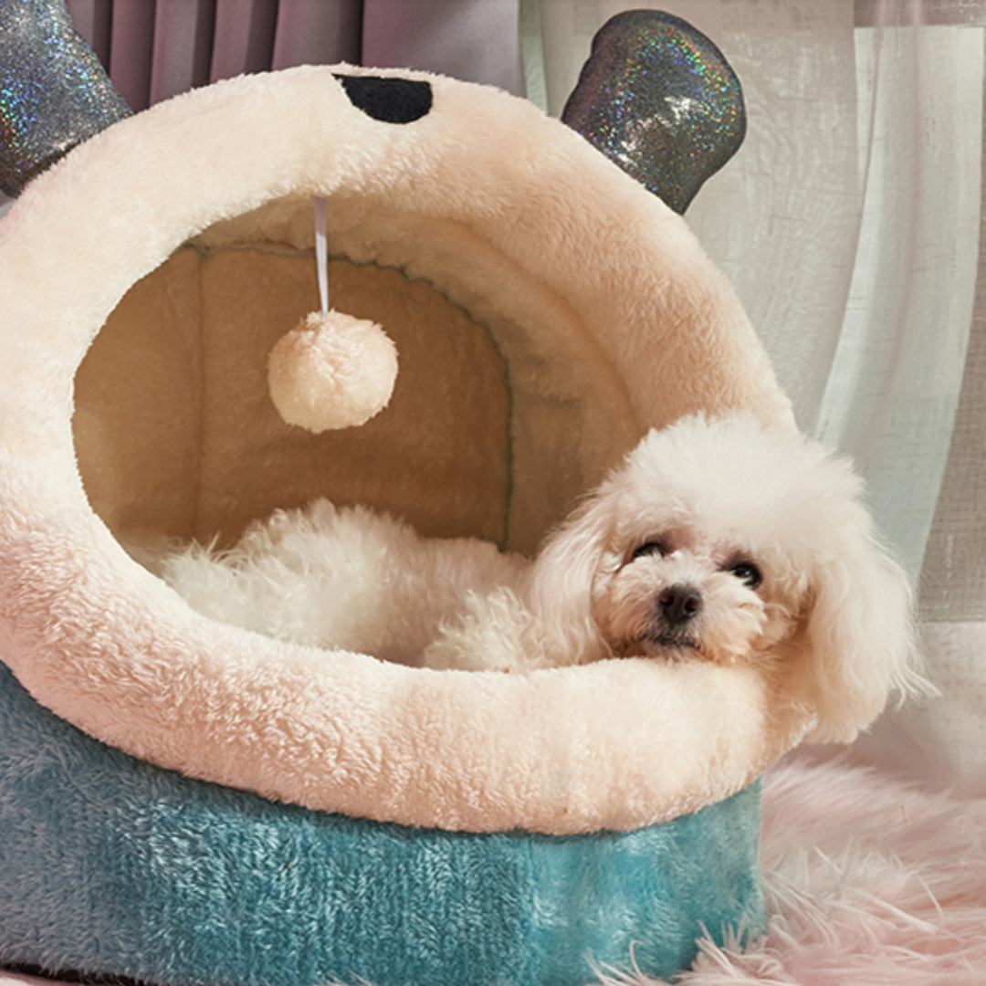 Kawaii Pet Nest