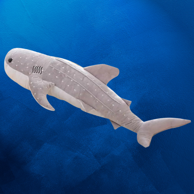 Maverick the Whale Shark