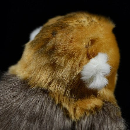 Rafiki the Golden Snub-nosed Monkey