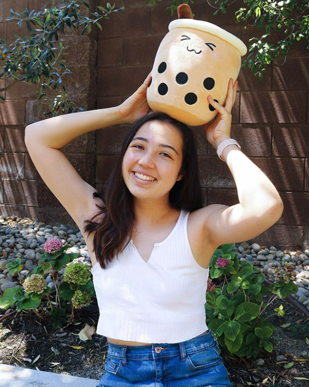 Kawaii Stuffed Boba Plushie