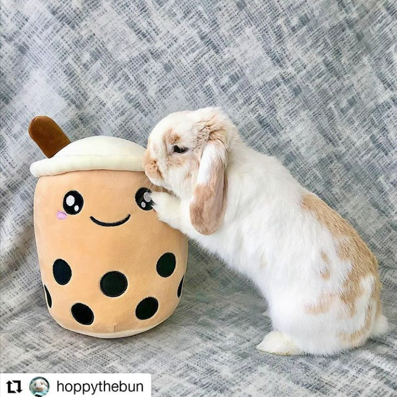Kawaii Stuffed Boba Plushie