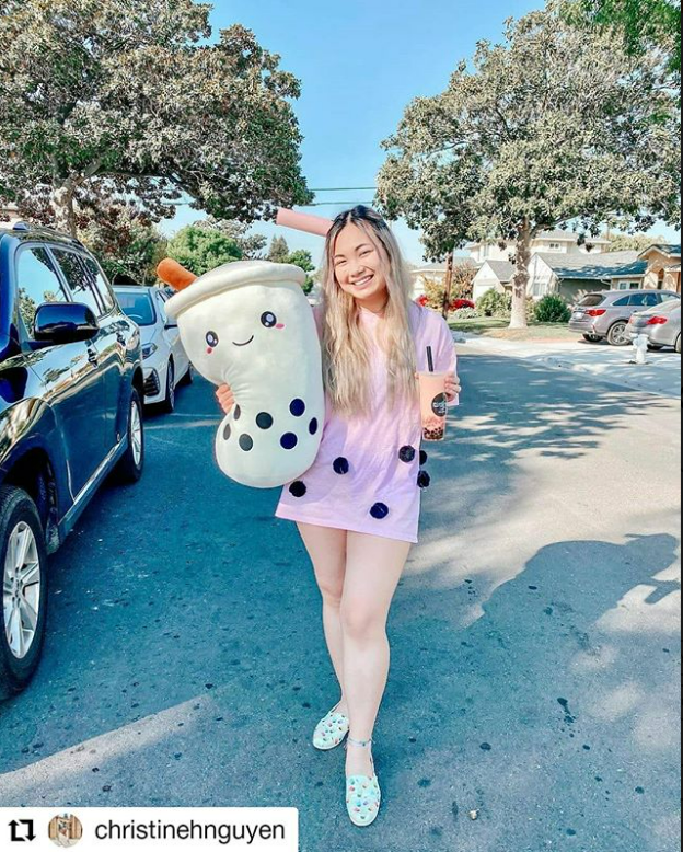 Kawaii Stuffed Boba Plushie