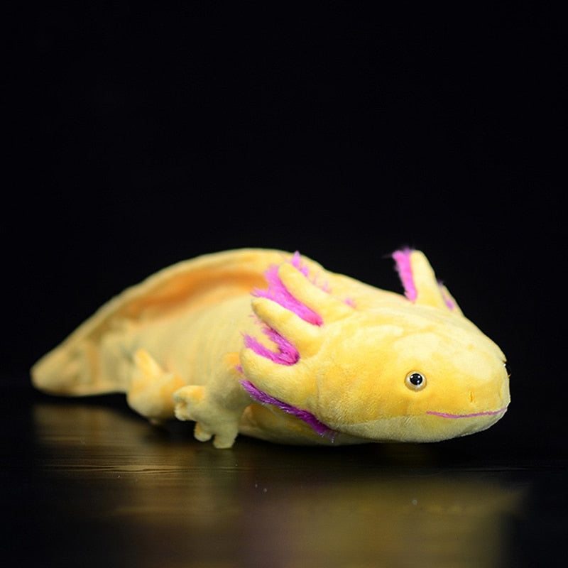 Axie The Cute Axolotl