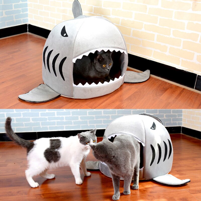 Cozy Shark Pethouse