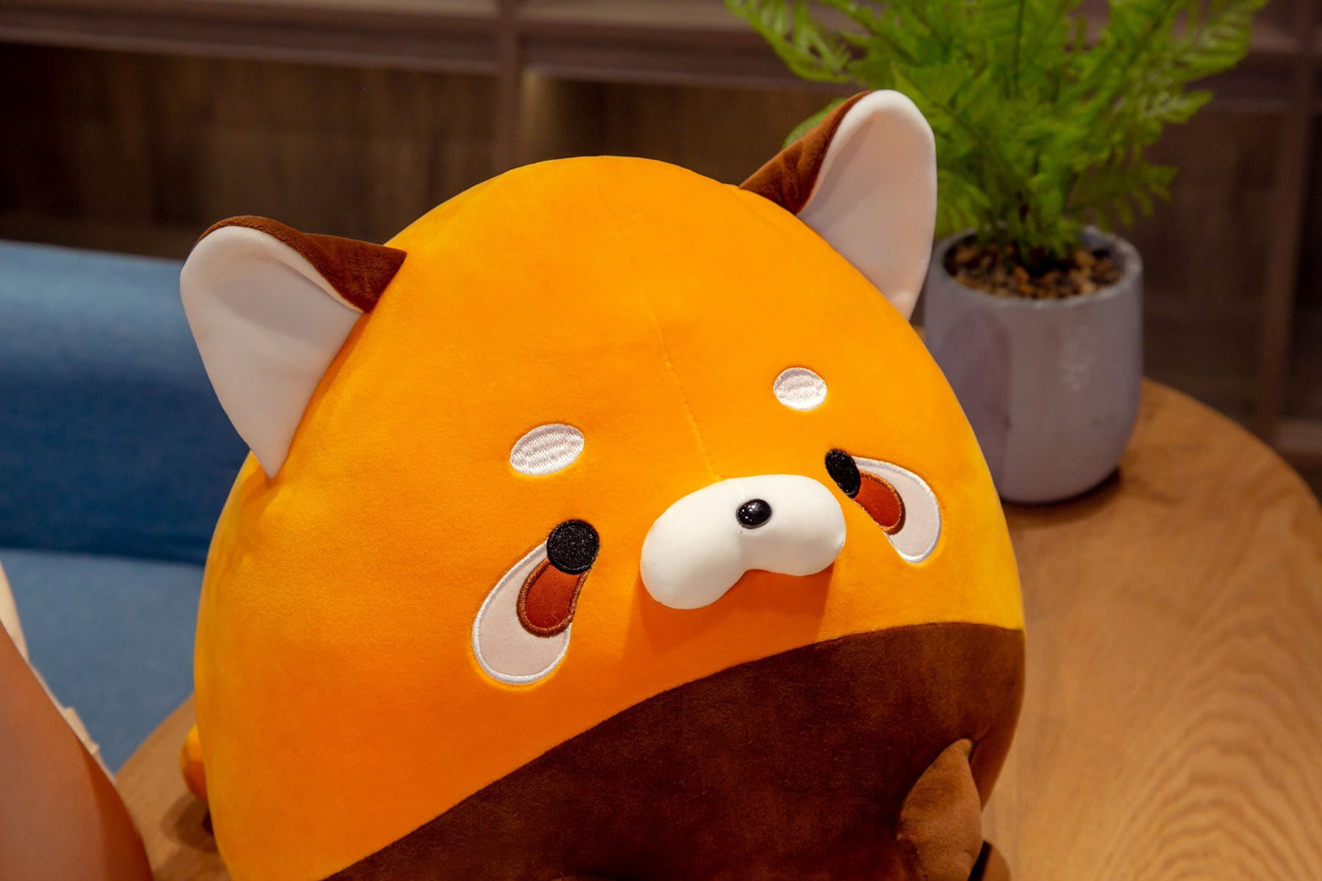 Buster the Chonky Red Panda