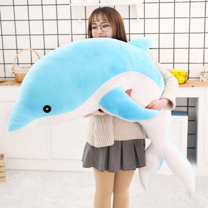 Echo the Dolphin