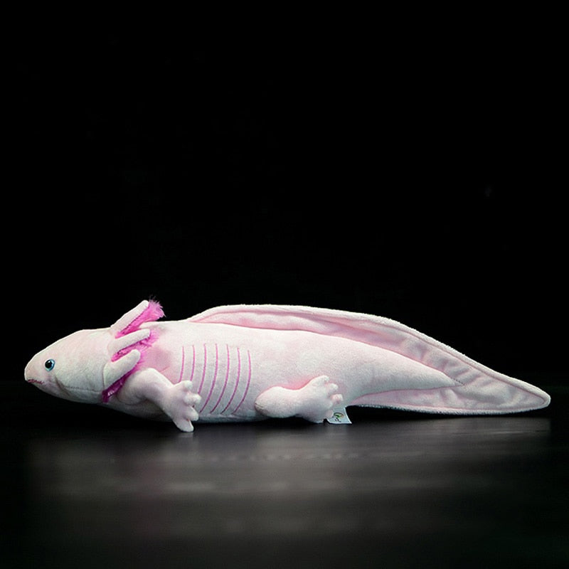 Axie The Cute Axolotl
