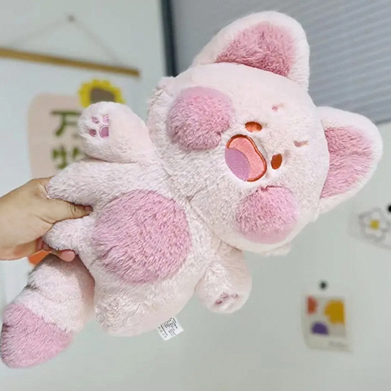 Dudu Anime Kawaii Cat