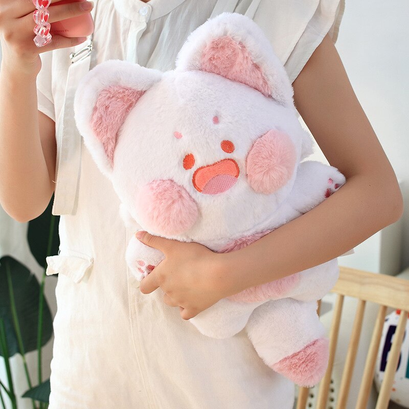 Dudu Anime Kawaii Cat