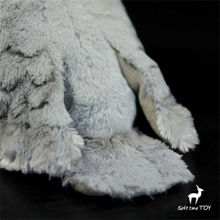 Shoebert the Shoebill