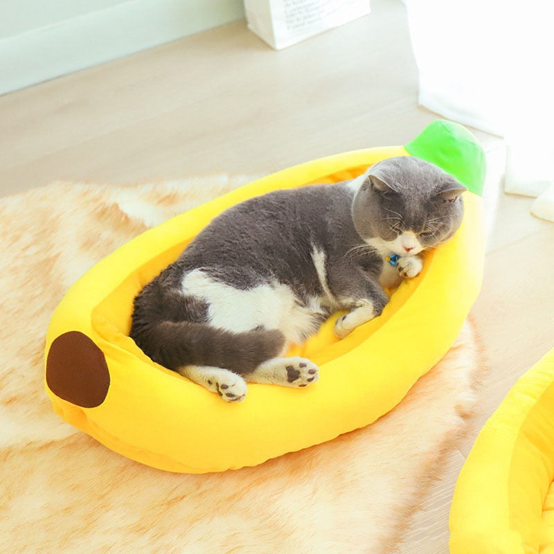 Feline Dreams Cat Bed