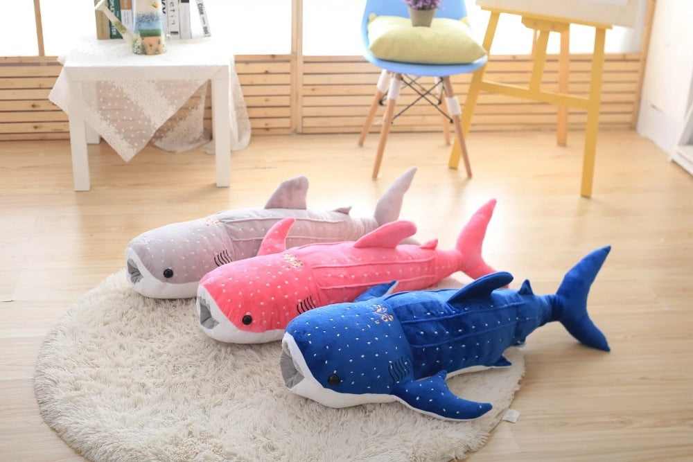 Maverick the Whale Shark