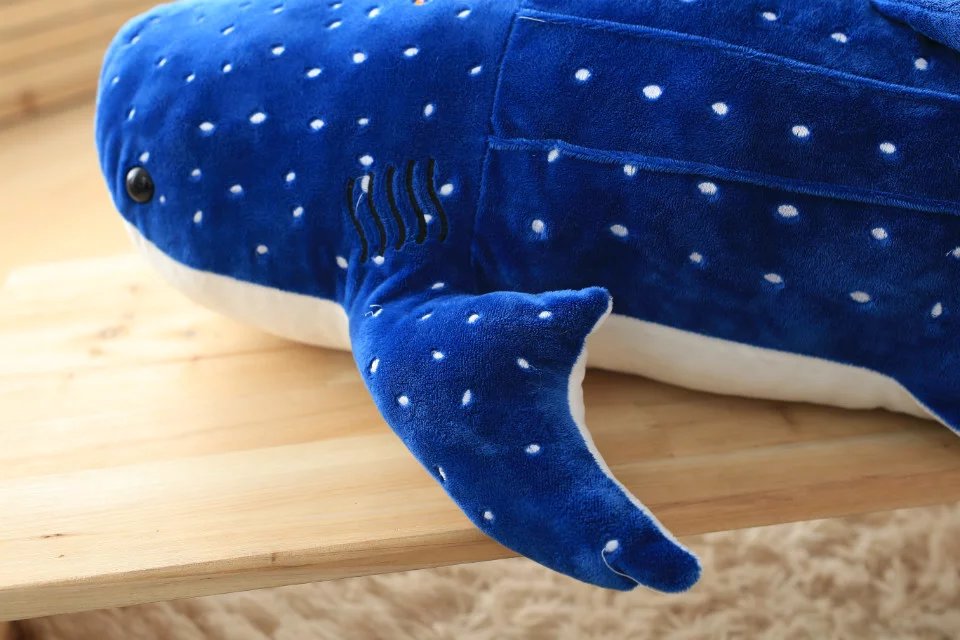 Maverick the Whale Shark