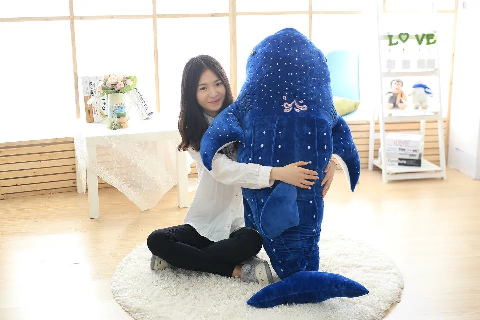 Maverick the Whale Shark