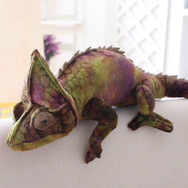 Charlie the Chameleon