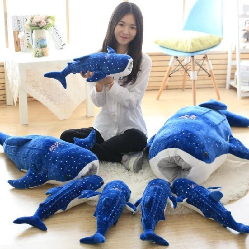 Maverick the Whale Shark
