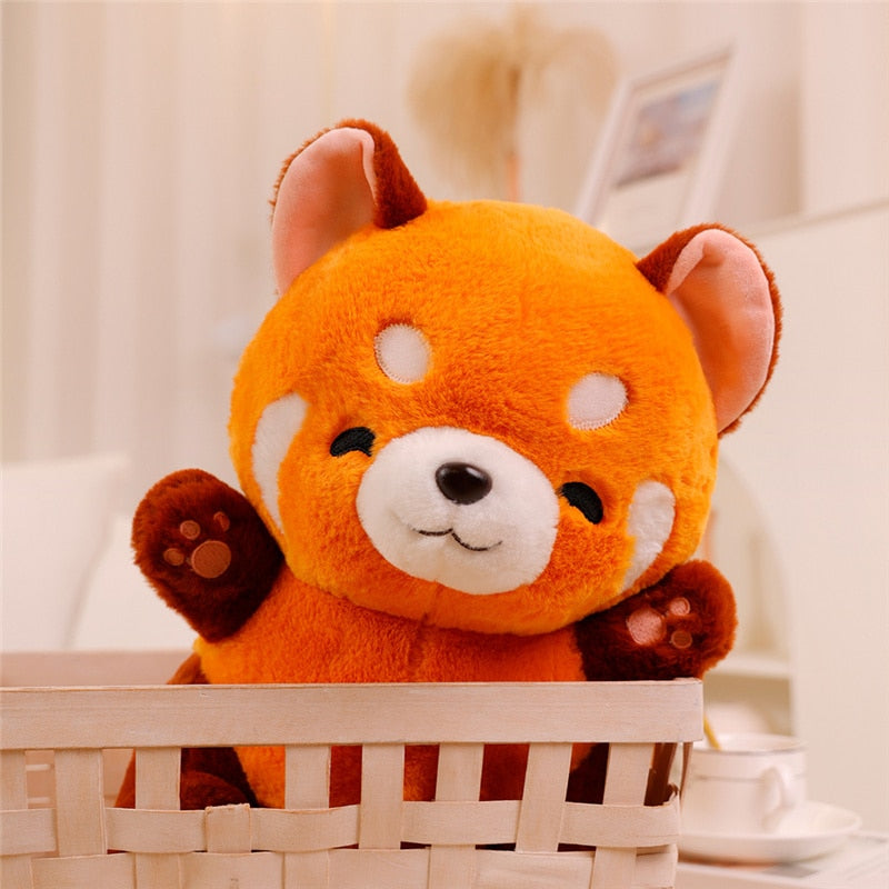 Akari the Adorable Red Panda