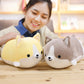 Happy Corgi Plushie