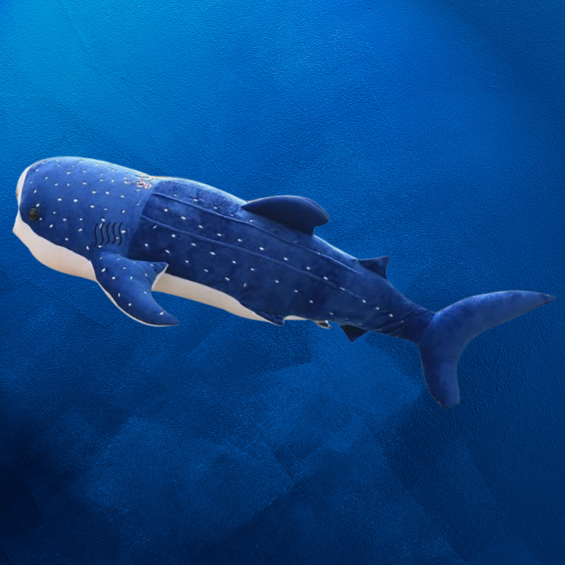 Maverick the Whale Shark