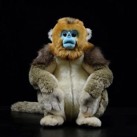 Rafiki the Golden Snub-nosed Monkey