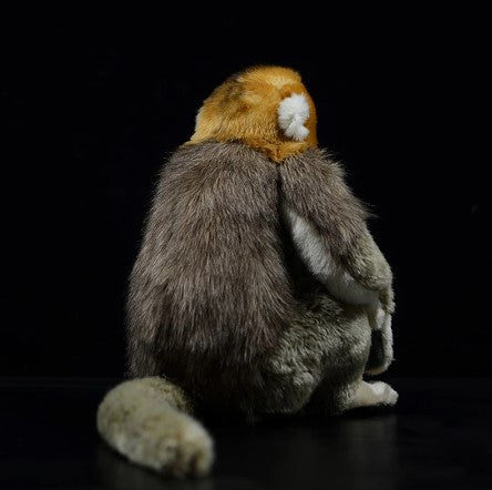 Rafiki the Golden Snub-nosed Monkey