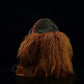 Julius the Orangutan