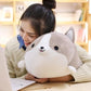 Happy Corgi Plushie